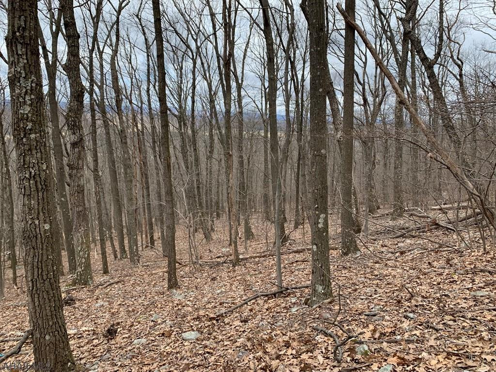 Lot 5 Monroe Mountain Road Clearville, PA 15535 - Photo 18 of 31 Gallery Image 18