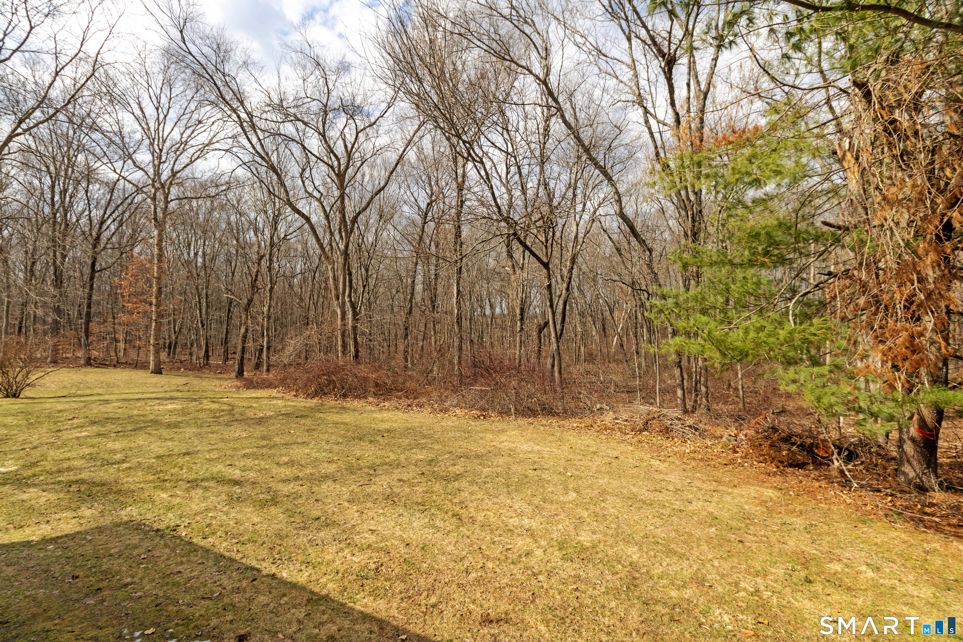 65 Colchester Cmns Colchester, CT 06415 - Photo 39 of 40