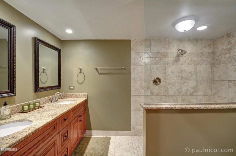 2287 West Hanover Road Hanover, IL 61041 - Photo 20 of 38 a bathroom with a granite countertop sink a mirror and shower