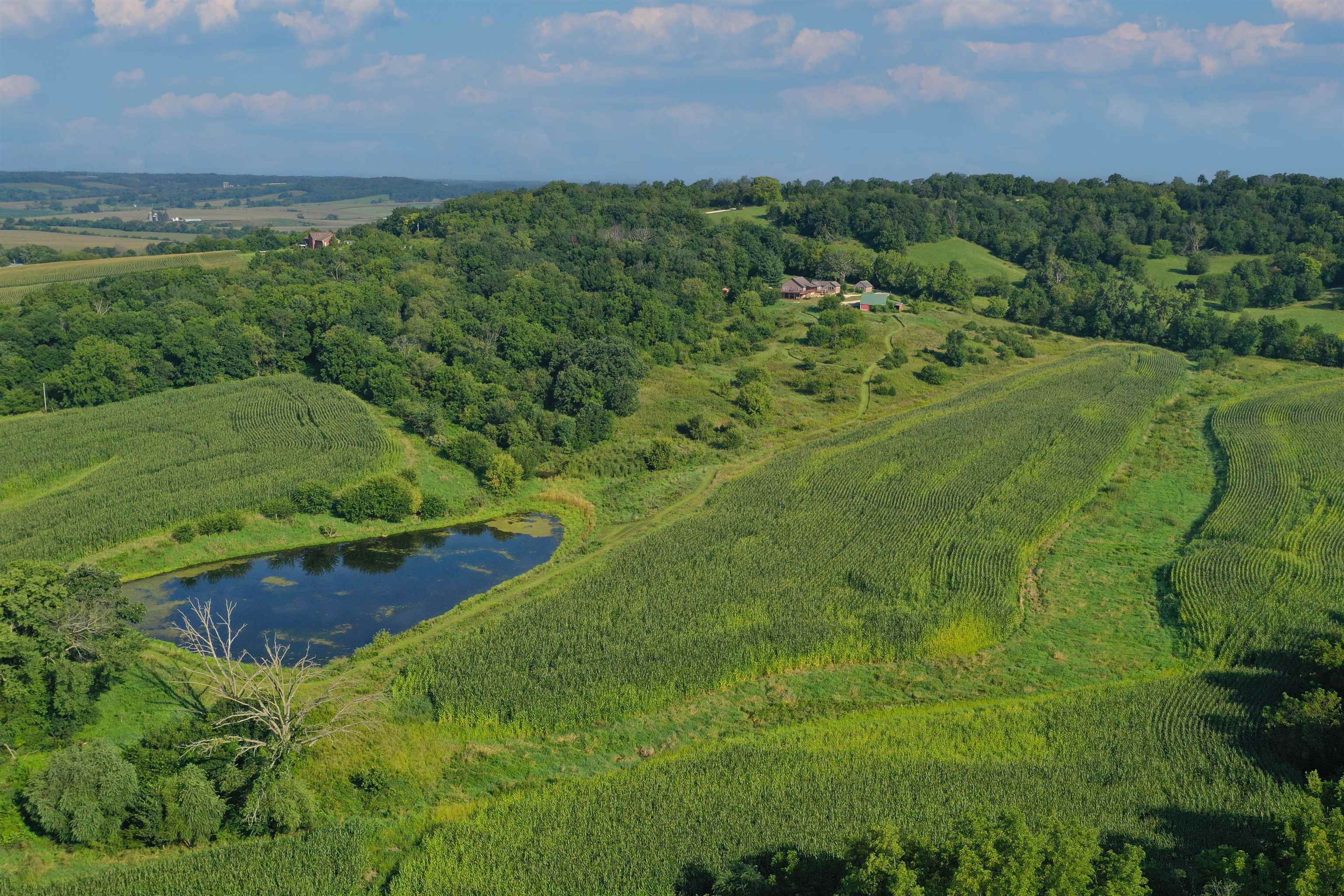 2287 West Hanover Road Hanover, IL 61041 - Photo 28 of 38 a view of a lush green forest