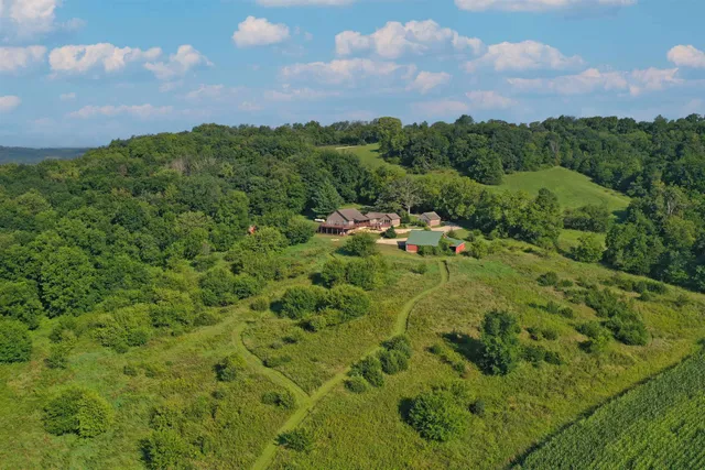 a view of a lush green forest with a houses
