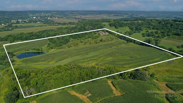 a view of a yard with a street