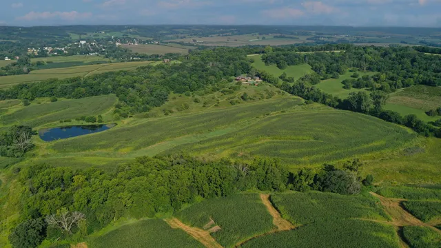 a view of a grassy area with an trees