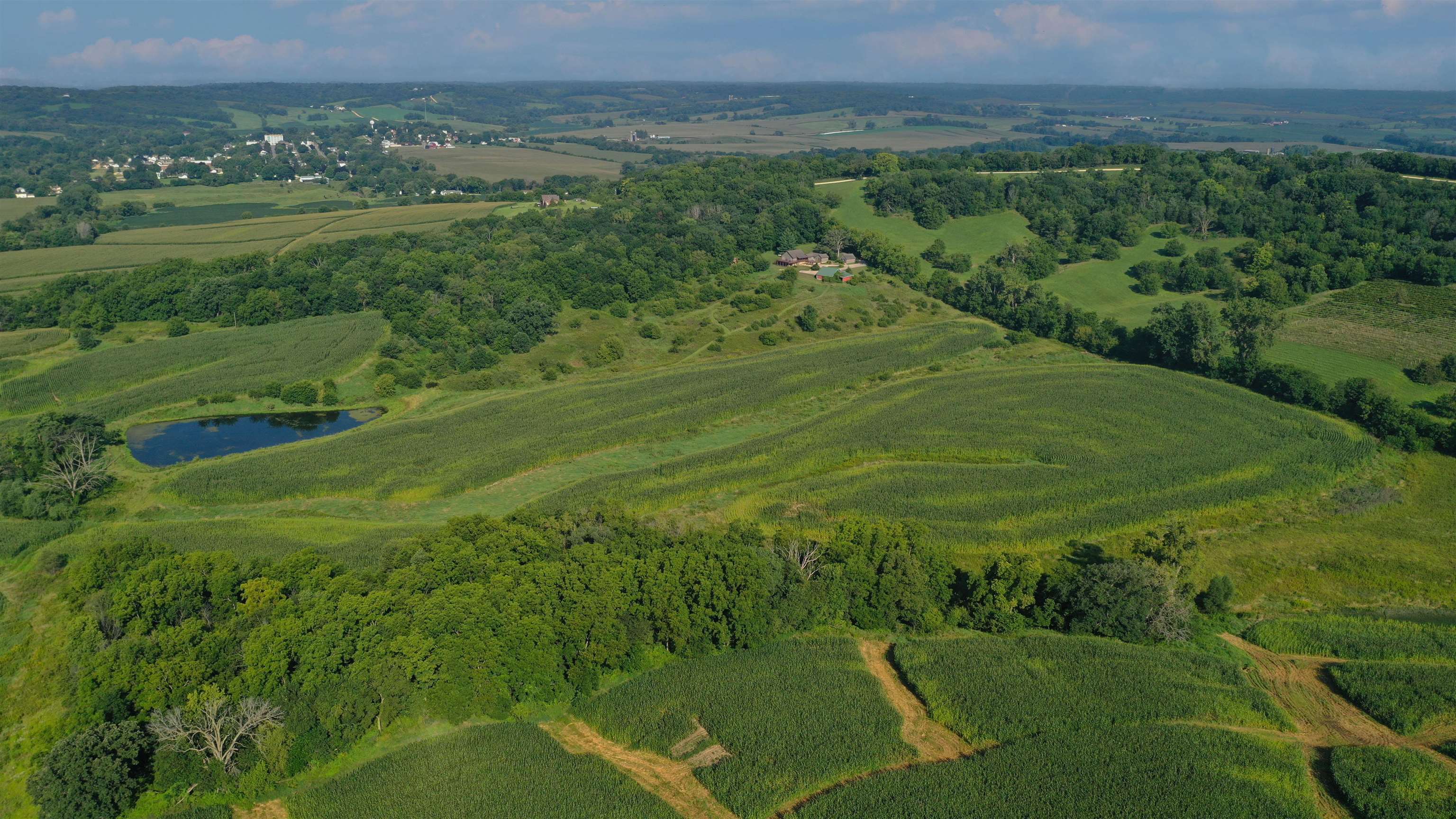 2287 West Hanover Road Hanover, IL 61041 - Photo 32 of 38 a view of a grassy area with an trees