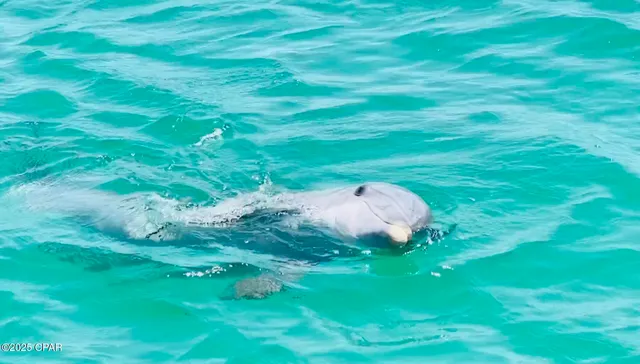 $285,000 | 3035 Meadow Street, Lynn Haven, FL 32444