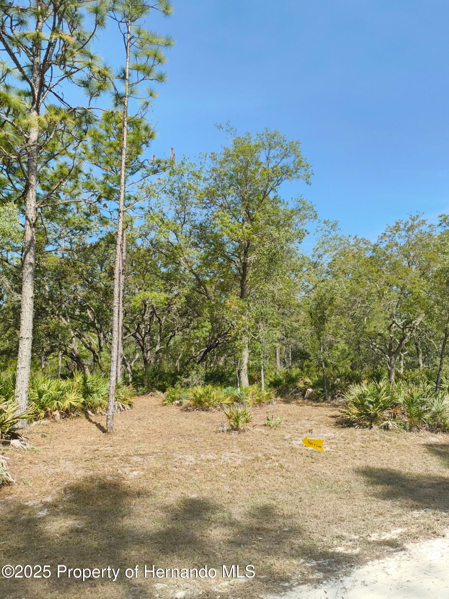 18235 Parakeet Road Weeki Wachee, FL 34614 - Photo 2 of 10