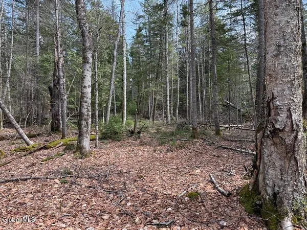 $82,000 | L34.1 Youngs Road, Unit 1, Olmstedville, NY 12857