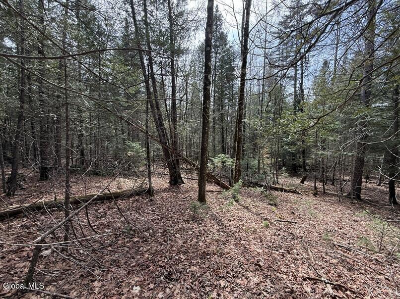 L34.1 Youngs Road, Unit 1 Olmstedville, NY 12857 - Photo 6 of 7 IMG_8519 1D