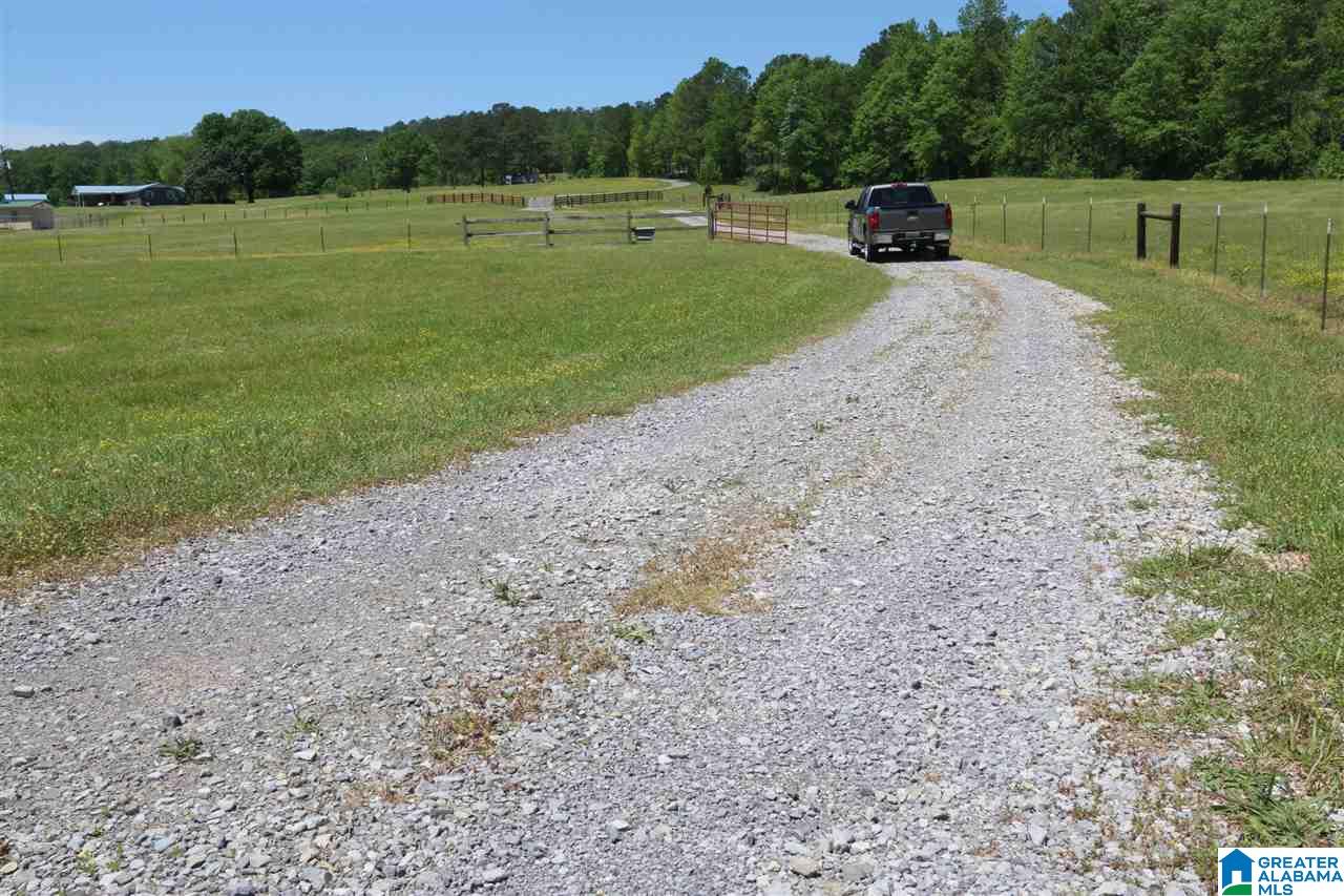 0 Pleasant Hills Road, Unit 40 Odenville, AL 35120 - Photo 36 of 48