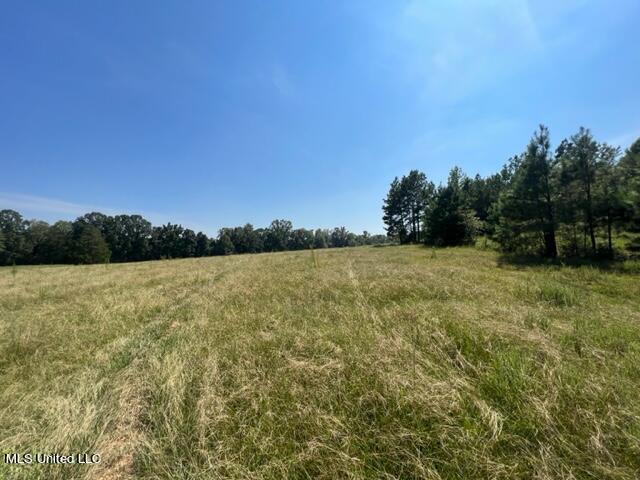 65 Acres Bishop Road Middleton, TN 38052 - Photo 14 of 27 IMG_0388