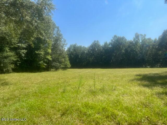 65 Acres Bishop Road Middleton, TN 38052 - Photo 4 of 27 IMG_0368