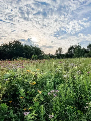 $1,300,000 | 24-103 Shenandoah Drive, Lake Carroll, IL 61046