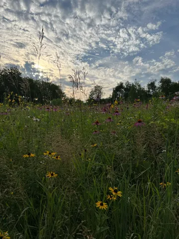 $1,300,000 | 24-103 Shenandoah Drive, Lake Carroll, IL 61046