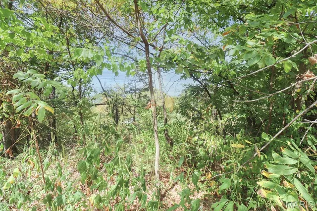 $39,900 | 200 West 6th Street, Dixon, MO 65459