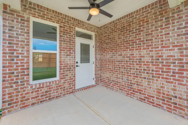 a view of a backyard with plants and large trees