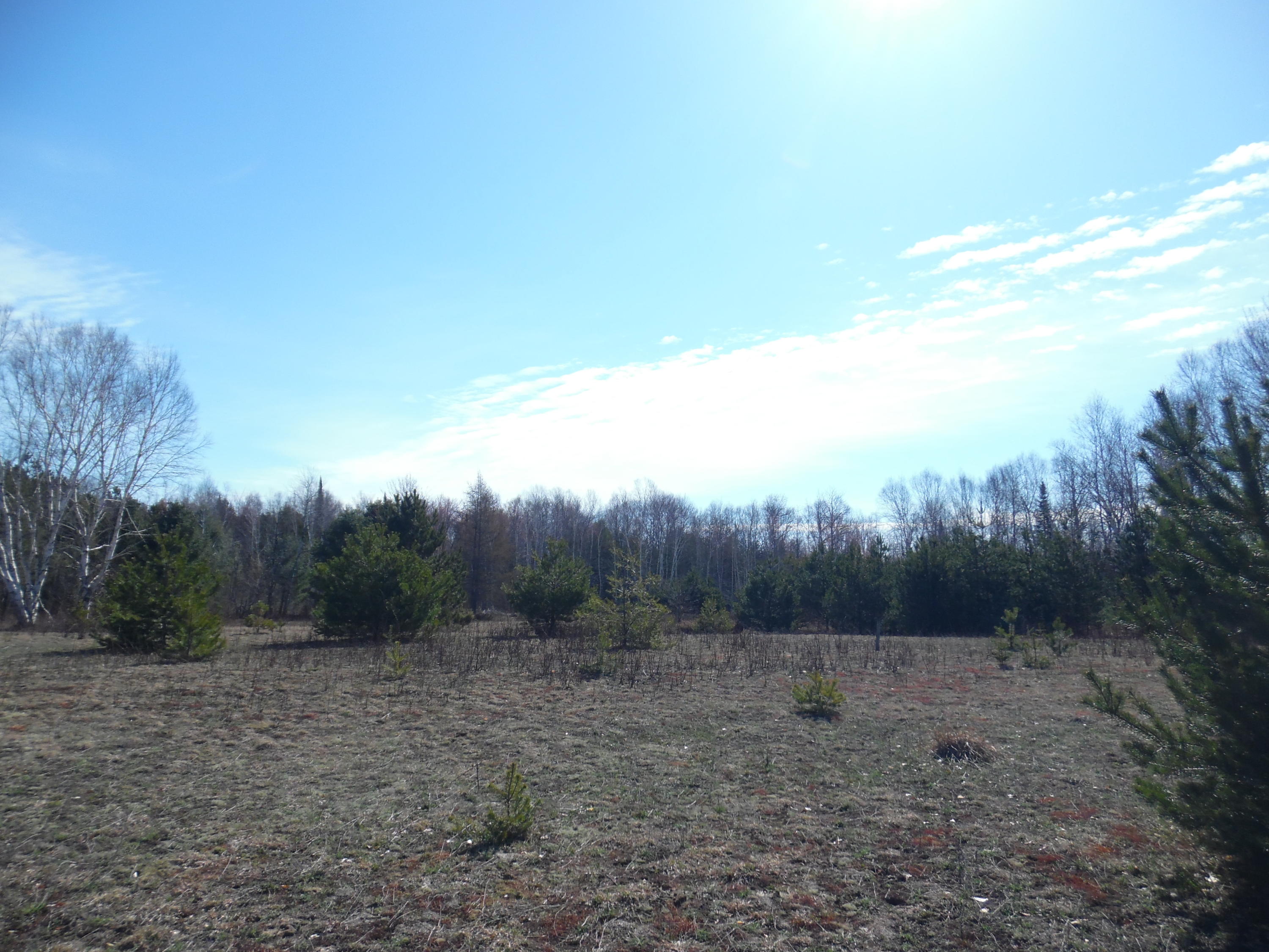 15800 Hebron Mail Road Cheboygan, MI 49721 - Photo 20 of 22 Gallery Image 20
