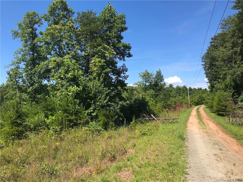 1752 Cove Road Rutherfordton, NC 28139 - Photo 3 of 21