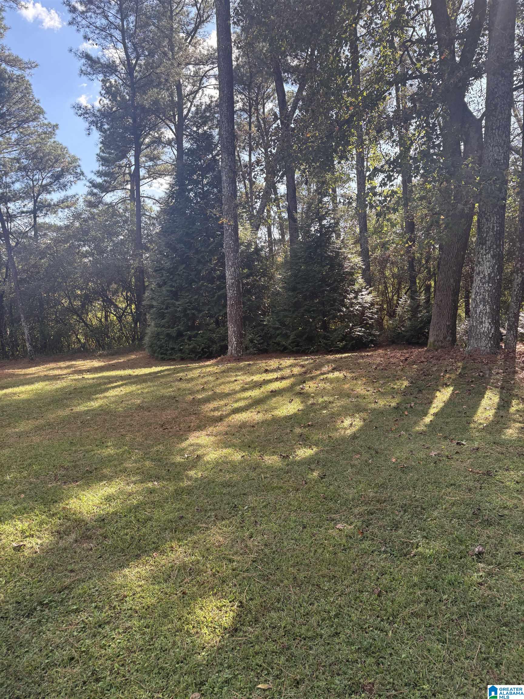 1055 Page Spring Road Blountsville, AL 35031 - Photo 5 of 22