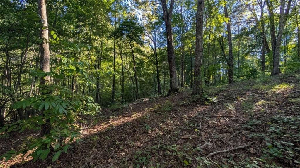 Lot 1 White Oak Circle Blue Ridge, GA 30513 - Photo 6 of 16 Gallery Image 6