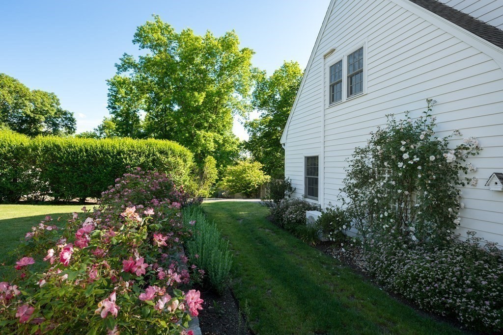 26 Talbot Road Hingham, MA 02043 - Photo 32 of 40 a view of a garden with plants and large trees