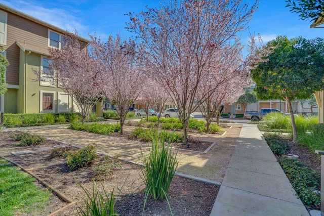 a view of a yard with plants and trees