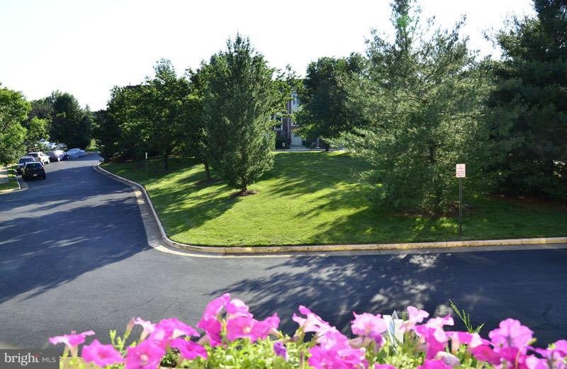 View from front door
