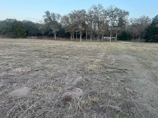a view of outdoor space with green field and trees