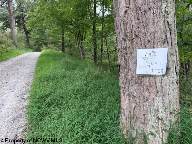 Tbd Massie Hollow Road Rivesville, WV 26588 - Photo 8 of 26 Gallery Image 8