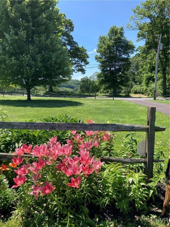 9191 Red Road Kempton, PA 19529 - Photo 11 of 11 a view of a yard with fountain in front of it
