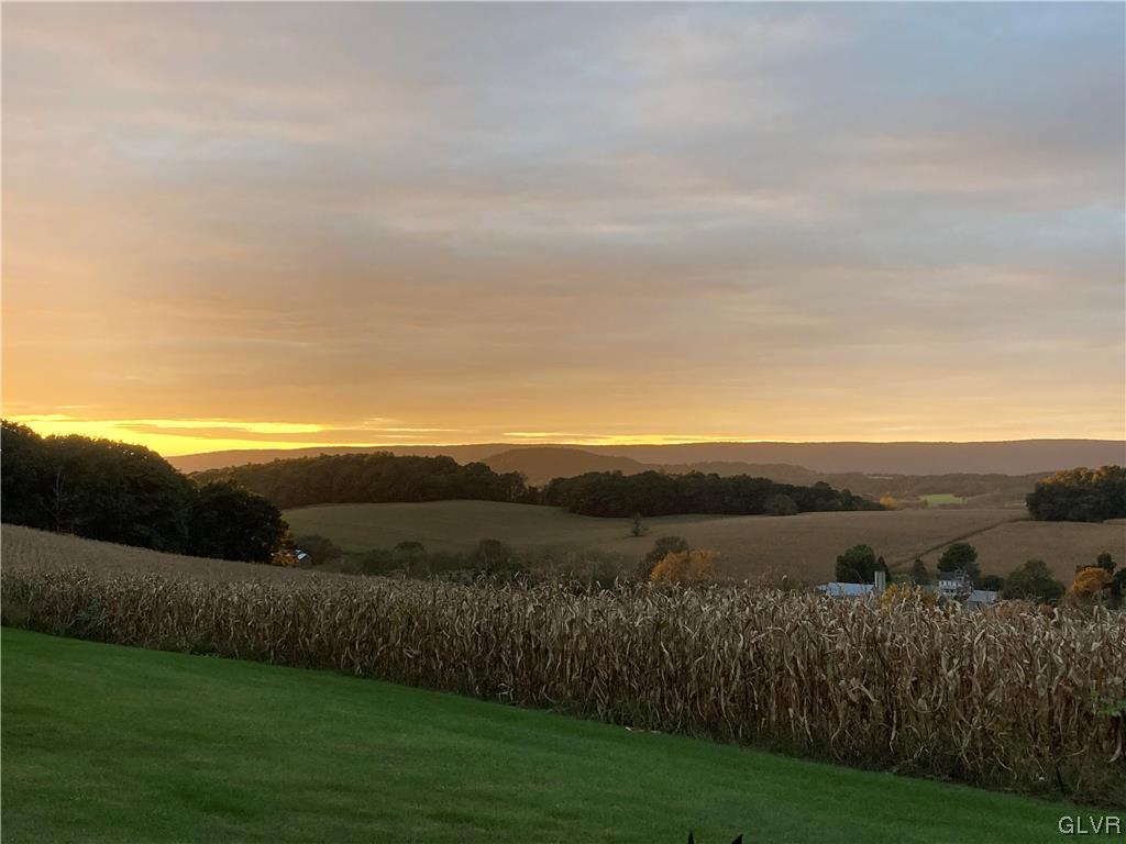 9191 Red Road Kempton, PA 19529 - Photo 10 of 11 a view of a big yard with mountain