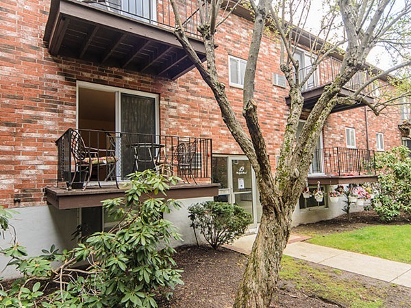 19 Westgate Road, Unit 4 Boston, MA 02467 - Photo 8 of 10 Gallery Image 8