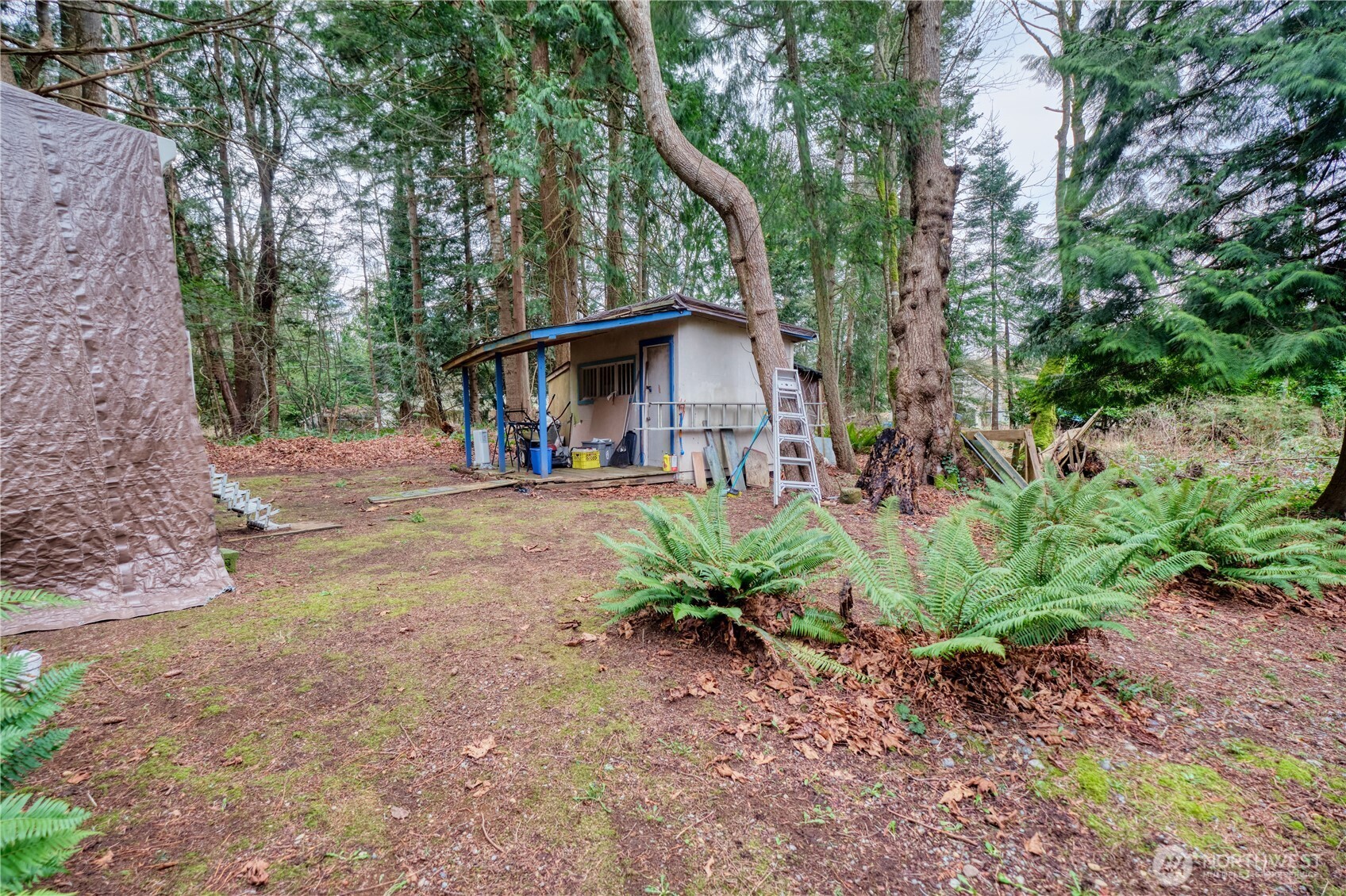2224 Ross Road Point Roberts, WA 98281 - Photo 24 of 29