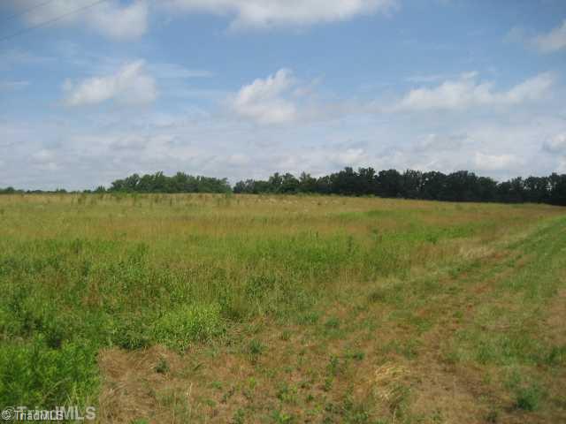 297 Bailey Road Advance, NC 27006 - Photo 4 of 8 Land.