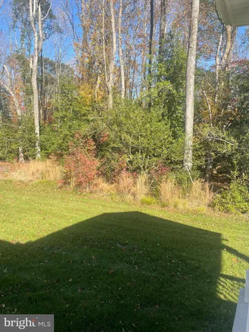 a view of an ocean from a yard