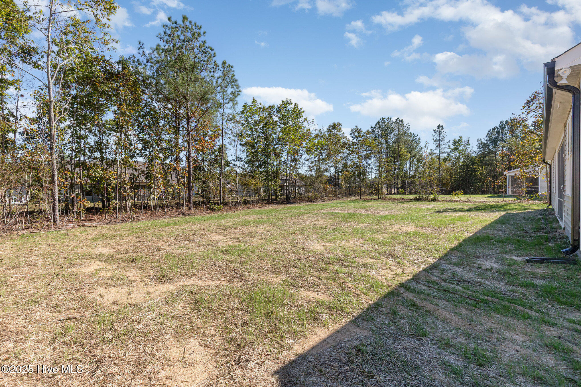 110 Prosecco Drive Princeton, NC 27569 - Photo 30 of 30 027_3-edit_766