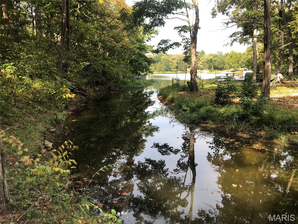 0 Flat Bottom Road Bonne Terre, MO 63628 - Photo 2 of 7