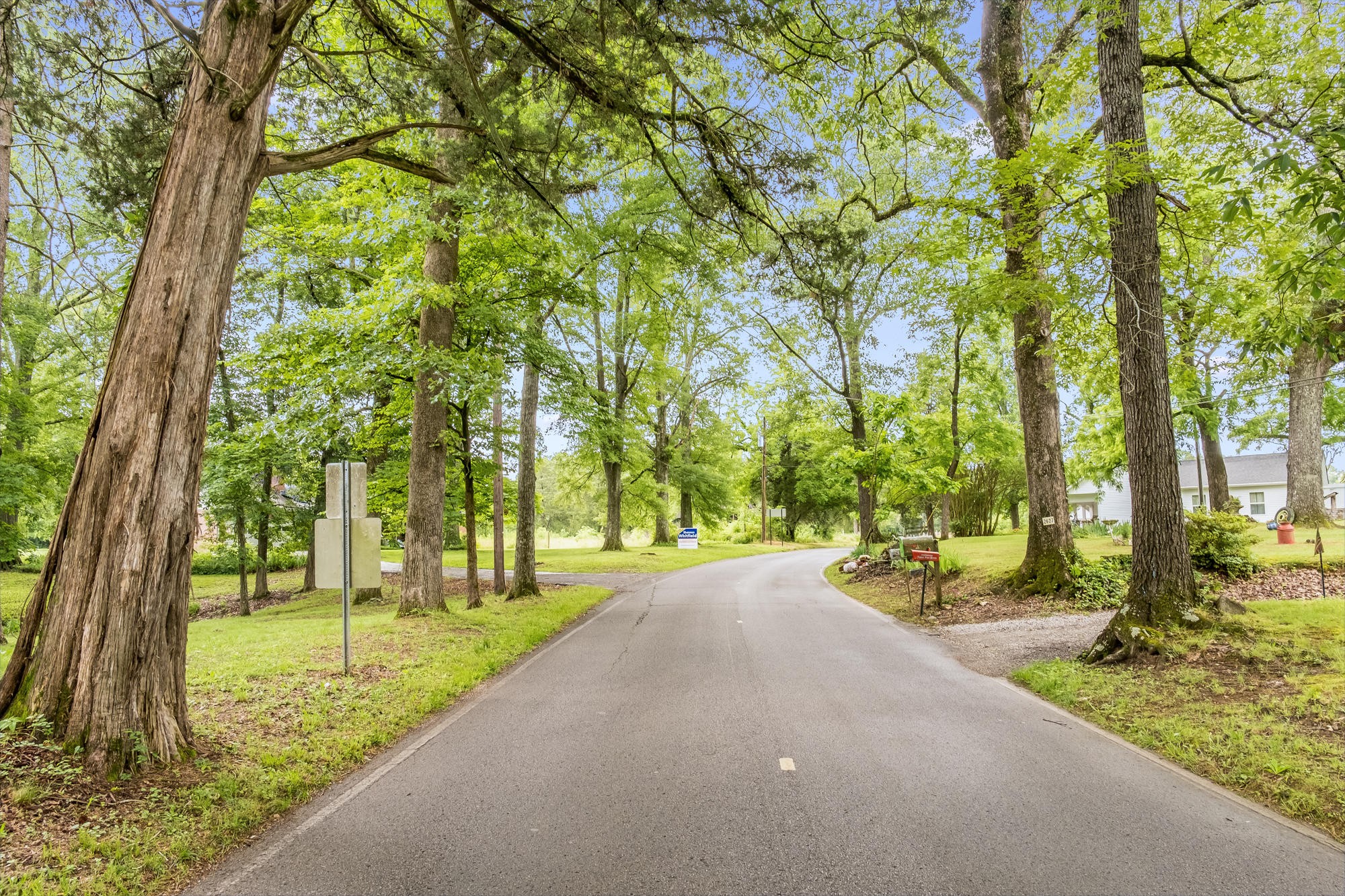 2666 Glass Mill Road Chickamauga, GA 30707 - Photo 26 of 28 a view of a street with a tree on the side of the park
