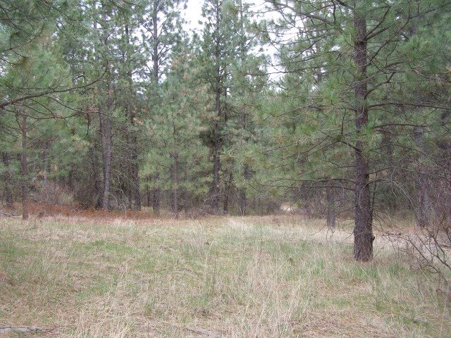 5069 F Rail Canyon Road Springdale, WA 99173 - Photo 11 of 19