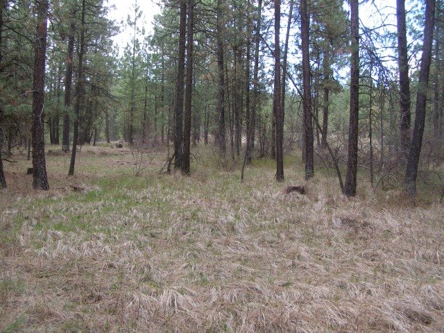 5069 F Rail Canyon Road Springdale, WA 99173 - Photo 12 of 19