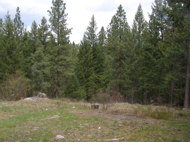 5069 F Rail Canyon Road Springdale, WA 99173 - Photo 6 of 19