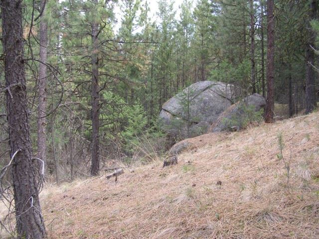 5069 F Rail Canyon Road Springdale, WA 99173 - Photo 7 of 19