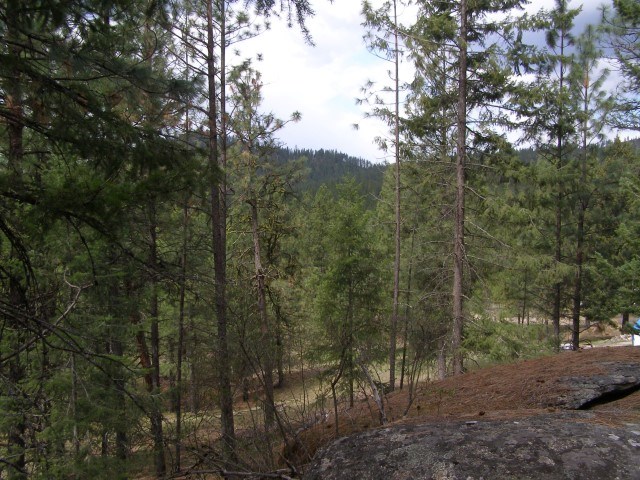 5069 F Rail Canyon Road Springdale, WA 99173 - Photo 9 of 19