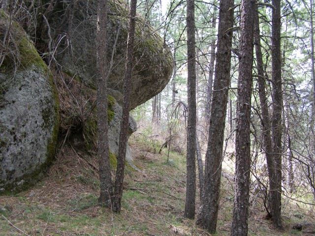 5069 F Rail Canyon Road Springdale, WA 99173 - Photo 10 of 19
