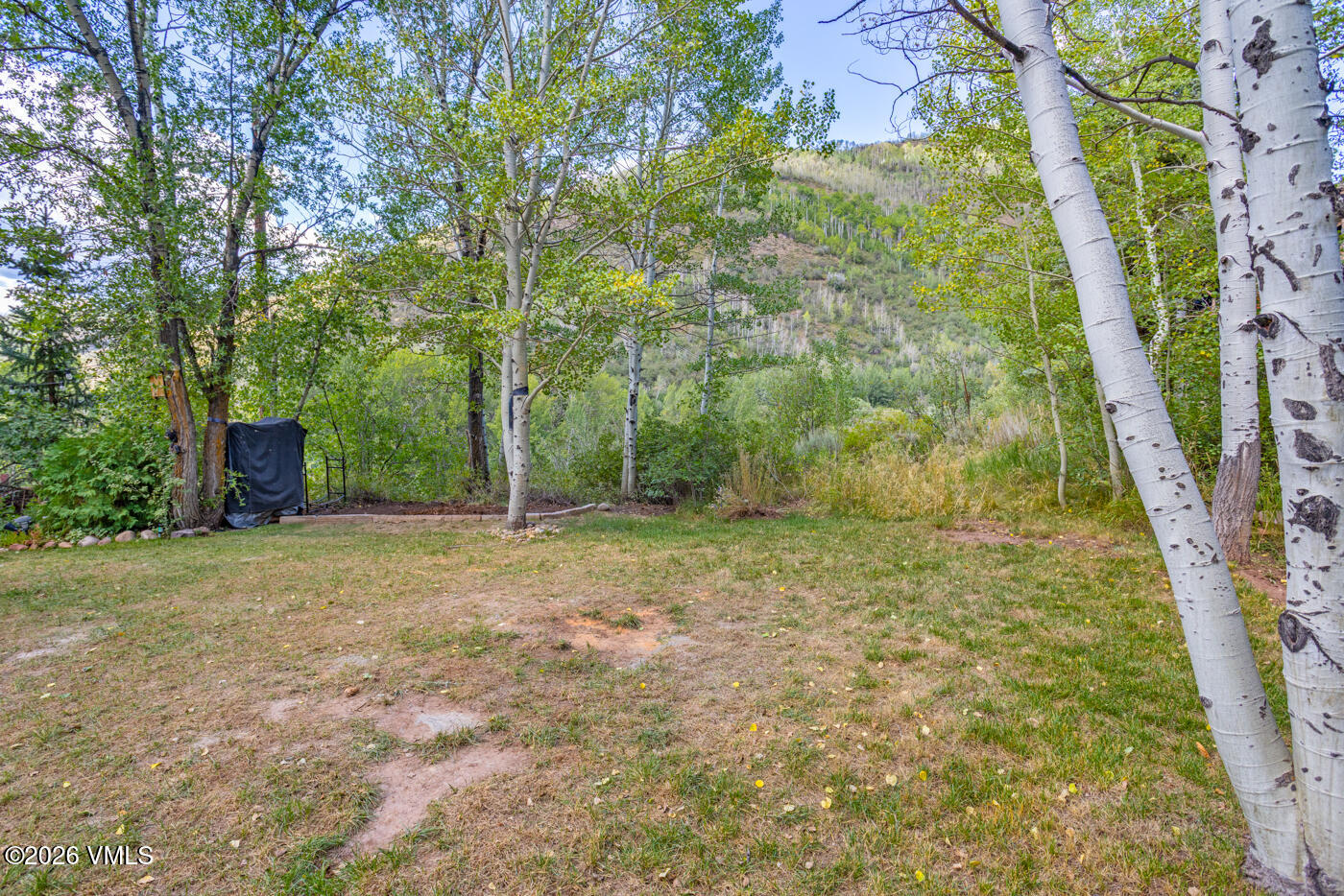 1817 Meadow Ridge Road, Unit 4 Vail, CO 81657 - Photo 39 of 45 1817 Meadow Ridge Rd 4 MLS-22