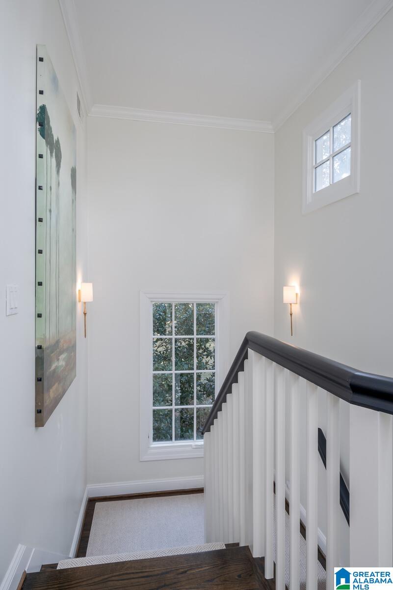 24 Pine Crest Road Birmingham, AL 35223 - Photo 35 of 55