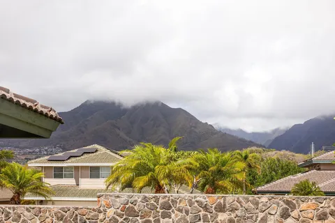 a picture of a house with a yard and potted plants