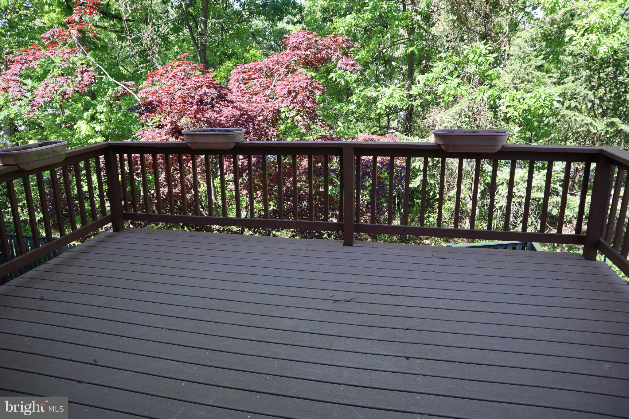 10848 Douglas Avenue Silver Spring, MD 20902 - Photo 12 of 33