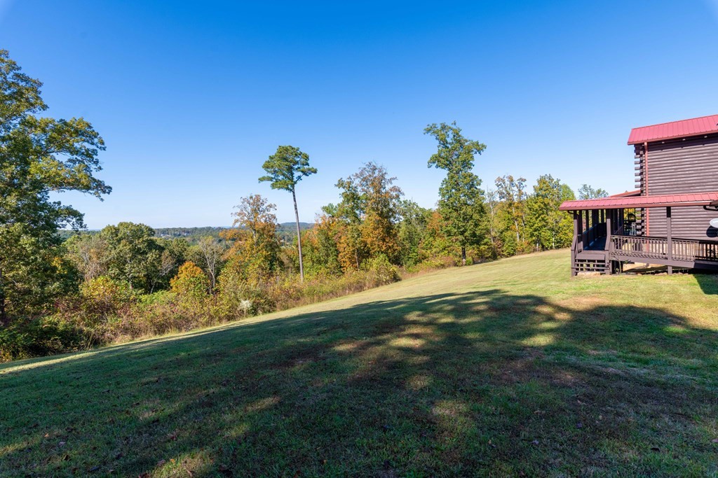 101 Swafford Georgetown, TN 37336 - Photo 3 of 65