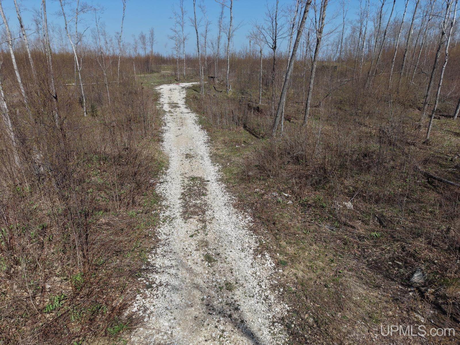 2493 Letson Road Gulliver, MI 49840 - Photo 33 of 56