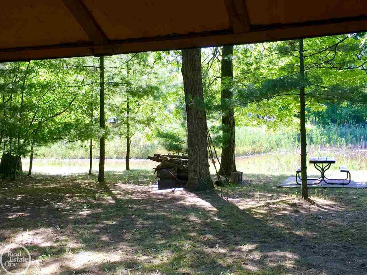 6044 Port Austin Road Caseville, MI 48725 - Photo 32 of 47 From rear door of Garage